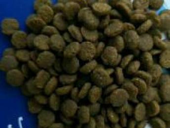 臨沂寵物食品公司品牌直銷與專業(yè)代加工服務(wù)解析——兼論西安寵物食品用品銷售市場