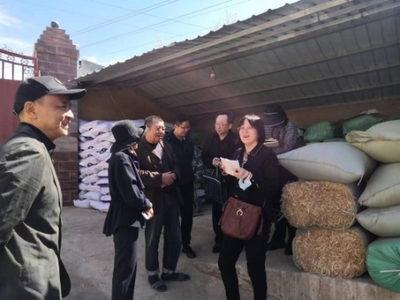 全國畜牧總站深入尋甸開展調研，共繪現代畜牧業與飼料銷售新藍圖